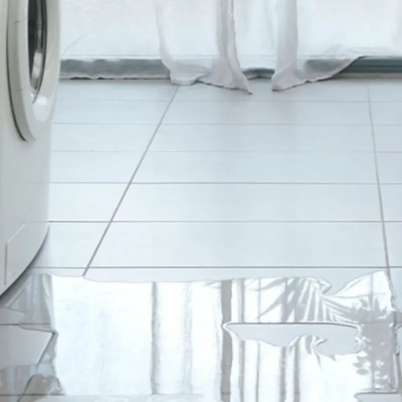 Appliance Leak Cleanup in Richlands, NC