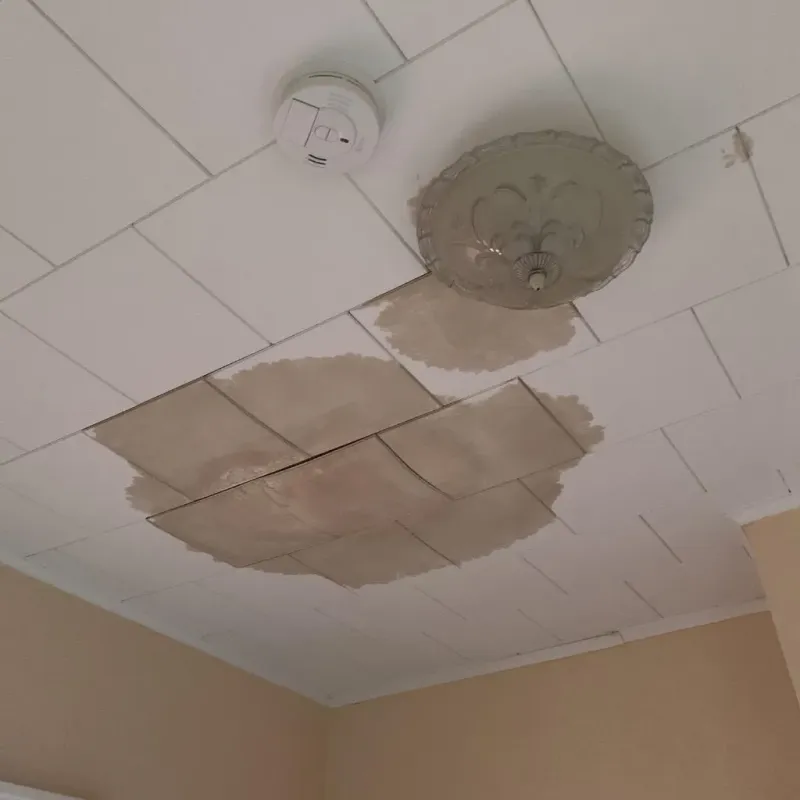 Ceiling Water Damage Repair in Richlands, NC