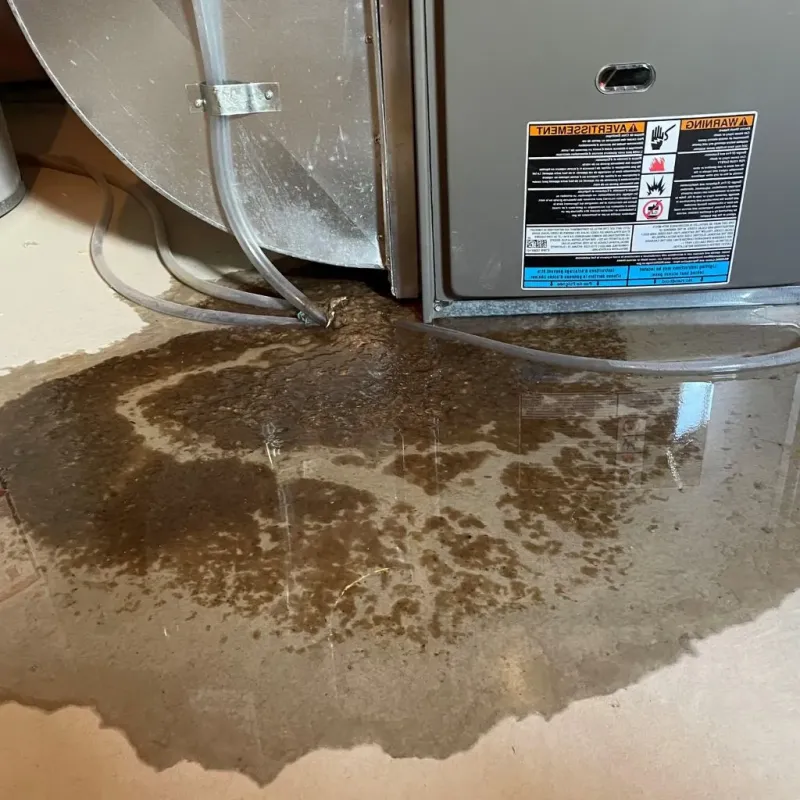 Pipe Burst and Leak Restoration in Richlands, NC