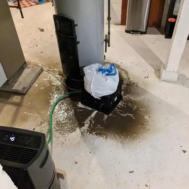Sewage Backup Cleanup Service in Richlands, NC
